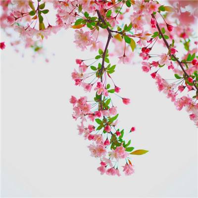 彩神8官网下载手机版